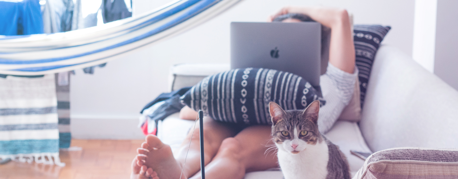 Remote work: Woman works from the couch. She's lying down with a notebook on her stomach. Her cat looks onwards.